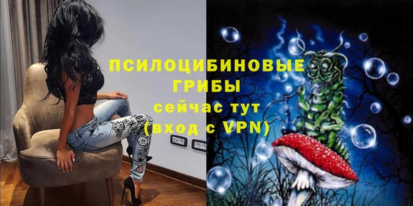 мяу мяу мука Бородино